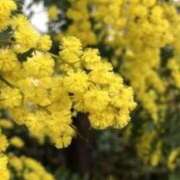 ヒメ日記 2025/04/09 06:54 投稿 みと 出会い系人妻ネットワーク 春日部〜岩槻編