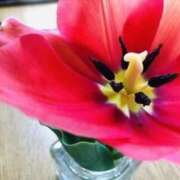 ヒメ日記 2025/04/14 19:04 投稿 みと 出会い系人妻ネットワーク 春日部〜岩槻編