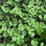 ヒメ日記 2025/04/25 20:04 投稿 みと 出会い系人妻ネットワーク 春日部〜岩槻編