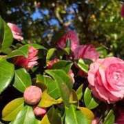 ヒメ日記 2025/04/26 20:24 投稿 みと 出会い系人妻ネットワーク 春日部〜岩槻編