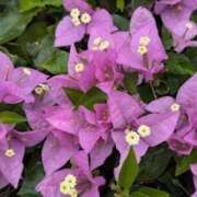 ヒメ日記 2025/05/11 20:54 投稿 みと 出会い系人妻ネットワーク 春日部〜岩槻編