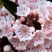 ヒメ日記 2025/05/25 20:54 投稿 みと 出会い系人妻ネットワーク 春日部〜岩槻編