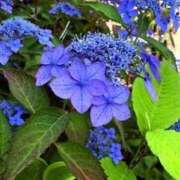 ヒメ日記 2025/06/03 19:44 投稿 みと 出会い系人妻ネットワーク 春日部〜岩槻編