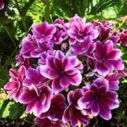 ヒメ日記 2025/06/07 20:24 投稿 みと 出会い系人妻ネットワーク 春日部〜岩槻編