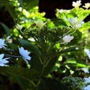 ヒメ日記 2025/06/08 20:44 投稿 みと 出会い系人妻ネットワーク 春日部〜岩槻編