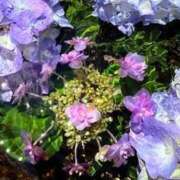 ヒメ日記 2025/06/09 20:14 投稿 みと 出会い系人妻ネットワーク 春日部〜岩槻編