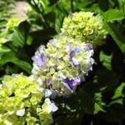 ヒメ日記 2025/06/21 20:24 投稿 みと 出会い系人妻ネットワーク 春日部〜岩槻編