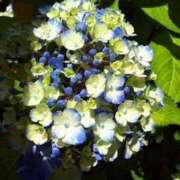 ヒメ日記 2025/06/23 19:44 投稿 みと 出会い系人妻ネットワーク 春日部〜岩槻編