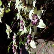 ヒメ日記 2025/07/04 19:34 投稿 みと 出会い系人妻ネットワーク 春日部〜岩槻編