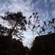 ヒメ日記 2025/07/06 20:04 投稿 みと 出会い系人妻ネットワーク 春日部〜岩槻編