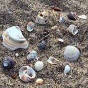 ヒメ日記 2025/07/07 19:29 投稿 みと 出会い系人妻ネットワーク 春日部〜岩槻編