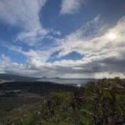 ヒメ日記 2025/07/19 19:44 投稿 みと 出会い系人妻ネットワーク 春日部〜岩槻編