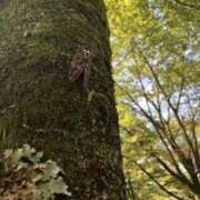 ヒメ日記 2025/07/19 20:44 投稿 みと 出会い系人妻ネットワーク 春日部〜岩槻編