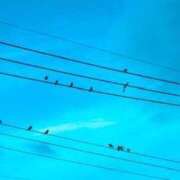 ヒメ日記 2025/08/02 19:49 投稿 みと 出会い系人妻ネットワーク 春日部〜岩槻編