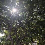 ヒメ日記 2025/08/04 21:04 投稿 みと 出会い系人妻ネットワーク 春日部〜岩槻編