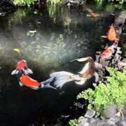 ヒメ日記 2025/08/06 21:04 投稿 みと 出会い系人妻ネットワーク 春日部〜岩槻編