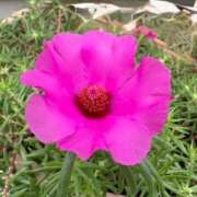 ヒメ日記 2025/08/11 19:44 投稿 みと 出会い系人妻ネットワーク 春日部〜岩槻編