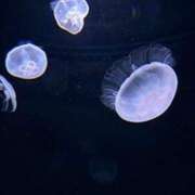 ヒメ日記 2025/08/11 20:47 投稿 みと 出会い系人妻ネットワーク 春日部〜岩槻編