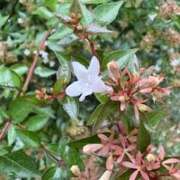 ヒメ日記 2025/08/14 21:14 投稿 みと 出会い系人妻ネットワーク 春日部〜岩槻編