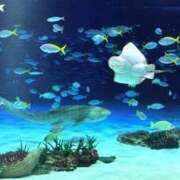 ヒメ日記 2025/08/16 19:44 投稿 みと 出会い系人妻ネットワーク 春日部〜岩槻編