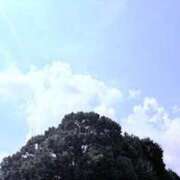 ヒメ日記 2025/09/10 05:34 投稿 みと 出会い系人妻ネットワーク 春日部〜岩槻編