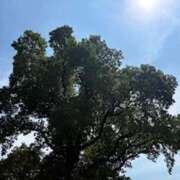 ヒメ日記 2025/09/11 21:14 投稿 みと 出会い系人妻ネットワーク 春日部〜岩槻編