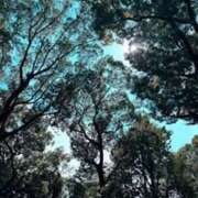 ヒメ日記 2025/09/13 05:35 投稿 みと 出会い系人妻ネットワーク 春日部〜岩槻編