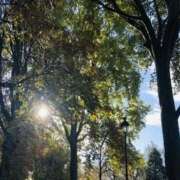 ヒメ日記 2025/09/14 05:34 投稿 みと 出会い系人妻ネットワーク 春日部〜岩槻編