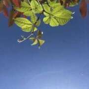 ヒメ日記 2025/09/16 20:14 投稿 みと 出会い系人妻ネットワーク 春日部〜岩槻編