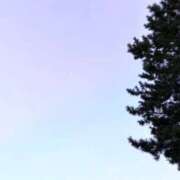 ヒメ日記 2025/09/18 05:34 投稿 みと 出会い系人妻ネットワーク 春日部〜岩槻編