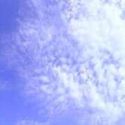 ヒメ日記 2025/09/20 06:04 投稿 みと 出会い系人妻ネットワーク 春日部〜岩槻編