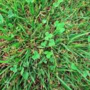 ヒメ日記 2025/09/27 22:04 投稿 みと 出会い系人妻ネットワーク 春日部〜岩槻編