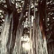 ヒメ日記 2025/10/13 20:24 投稿 みと 出会い系人妻ネットワーク 春日部〜岩槻編