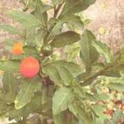 ヒメ日記 2025/10/14 20:15 投稿 みと 出会い系人妻ネットワーク 春日部〜岩槻編