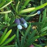 ヒメ日記 2025/10/18 10:54 投稿 みと 出会い系人妻ネットワーク 春日部〜岩槻編