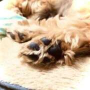 ヒメ日記 2025/10/19 11:04 投稿 みと 出会い系人妻ネットワーク 春日部〜岩槻編