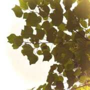 ヒメ日記 2025/10/20 20:14 投稿 みと 出会い系人妻ネットワーク 春日部〜岩槻編