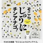 ヒメ日記 2025/10/21 20:14 投稿 みと 出会い系人妻ネットワーク 春日部〜岩槻編
