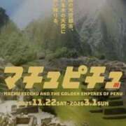 ヒメ日記 2025/10/23 20:14 投稿 みと 出会い系人妻ネットワーク 春日部〜岩槻編