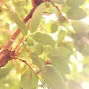 ヒメ日記 2025/10/25 20:54 投稿 みと 出会い系人妻ネットワーク 春日部〜岩槻編