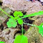 ヒメ日記 2025/10/30 21:04 投稿 みと 出会い系人妻ネットワーク 春日部〜岩槻編