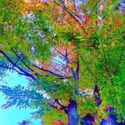 ヒメ日記 2025/11/07 20:34 投稿 みと 出会い系人妻ネットワーク 春日部〜岩槻編