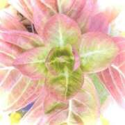 ヒメ日記 2025/11/15 11:04 投稿 みと 出会い系人妻ネットワーク 春日部〜岩槻編