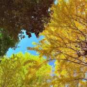 ヒメ日記 2025/11/15 13:04 投稿 みと 出会い系人妻ネットワーク 春日部〜岩槻編