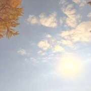 ヒメ日記 2025/11/15 19:04 投稿 みと 出会い系人妻ネットワーク 春日部〜岩槻編