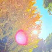 ヒメ日記 2025/11/17 20:04 投稿 みと 出会い系人妻ネットワーク 春日部〜岩槻編