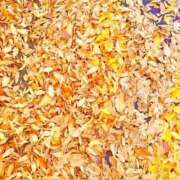 ヒメ日記 2025/11/20 20:04 投稿 みと 出会い系人妻ネットワーク 春日部〜岩槻編