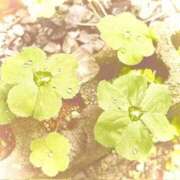 ヒメ日記 2025/11/26 20:04 投稿 みと 出会い系人妻ネットワーク 春日部〜岩槻編