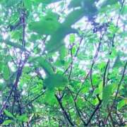 ヒメ日記 2025/11/29 20:54 投稿 みと 出会い系人妻ネットワーク 春日部〜岩槻編