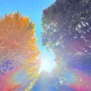 ヒメ日記 2025/12/02 20:34 投稿 みと 出会い系人妻ネットワーク 春日部〜岩槻編